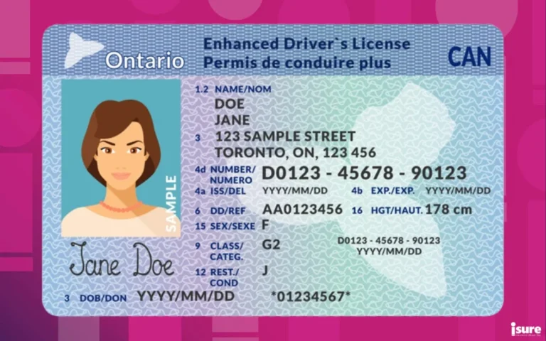 Ontario-drivers-licences.png